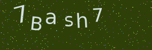Validation image